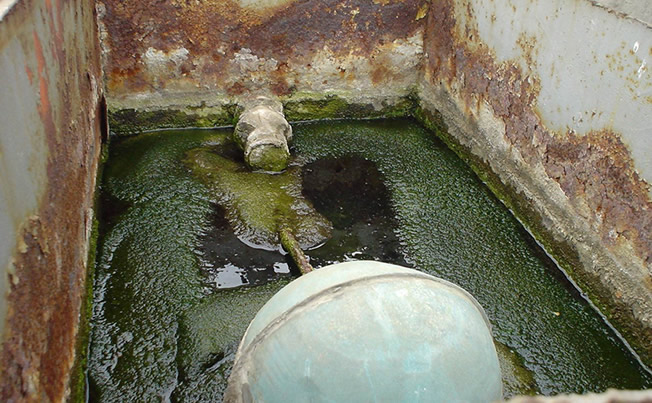 ˮ����ˮ��������ˮ����ϴ